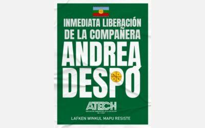 Desalojo en Villa Mascardi: UN DEBATE que URGE