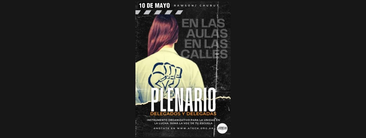 plenario portada