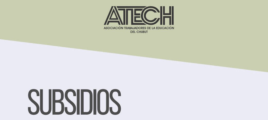 WhatsApp Image 2025-07-30 at 16.45.46